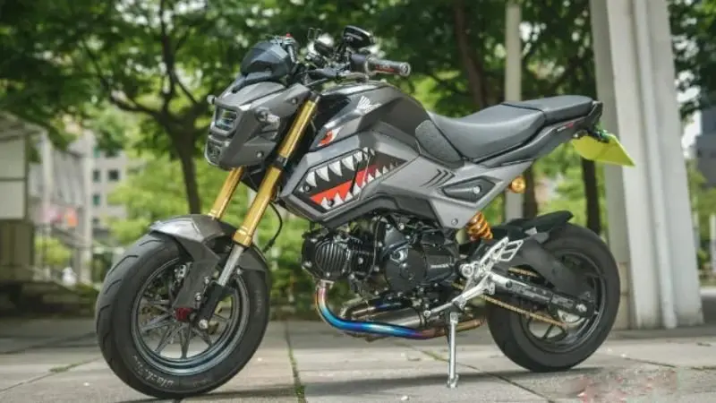 Hình ảnh xe Honda MSX 125 độc đáo 10