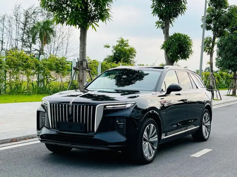 Ảnh xe Hongqi E-HS9 đẹp 33