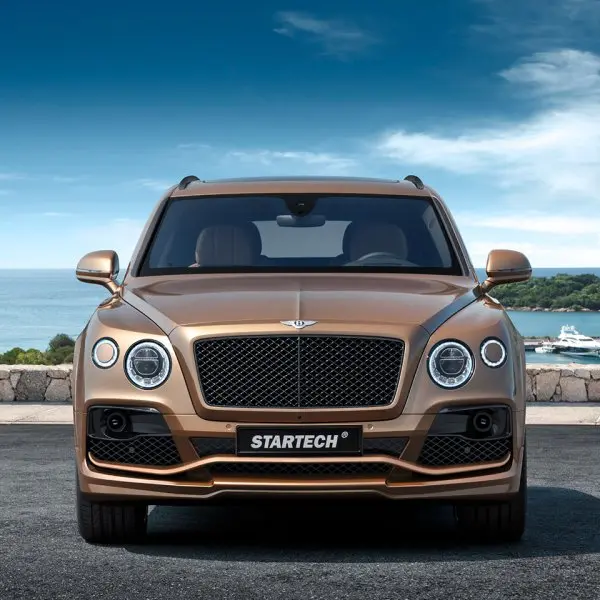 Bộ sưu tập ảnh Bentley Bentayga 22