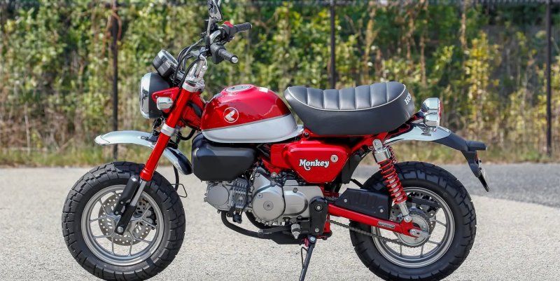 Honda Monkey 5