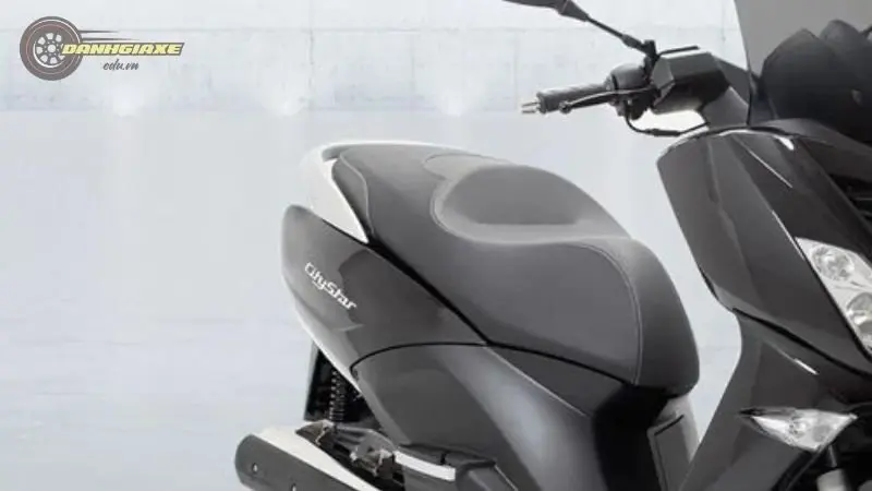 Peugeot Citystar 200i 8 Peugeot Citystar 200i 8