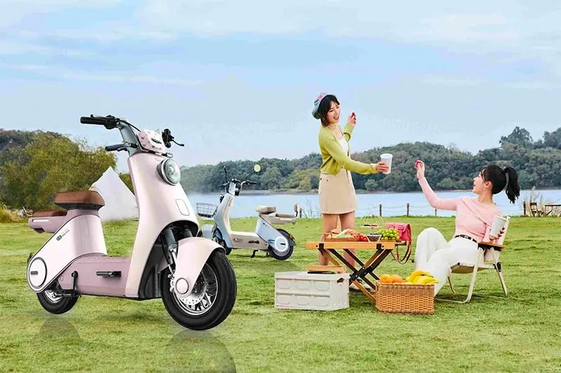 Giới thiệu chung DK Lyva Moda