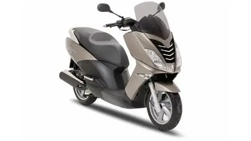 Peugeot Citystar 200i 21