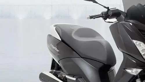 Peugeot Citystar 200i 24