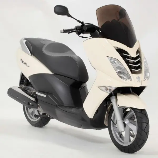 Peugeot Citystar 200i 12