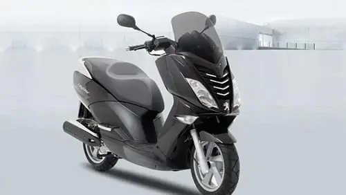 Peugeot Citystar 200i 13