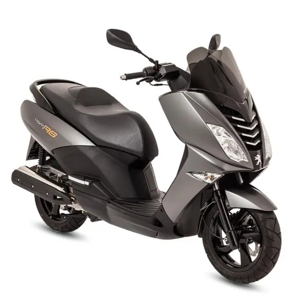 Peugeot Citystar 200i 18