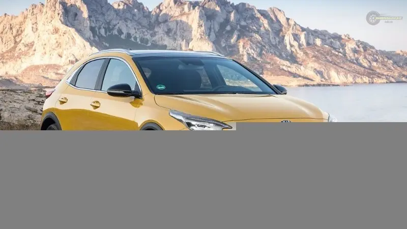 Lưu ý quan trọng