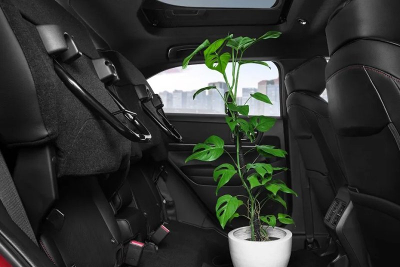 Ngắm nhìn ảnh xe Honda HR-V từ mọi góc độ 7