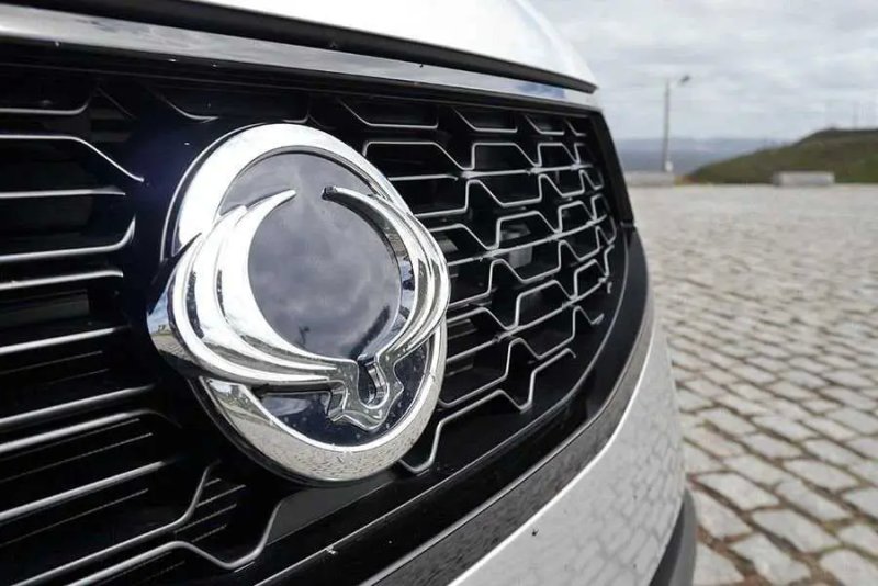 Hình ảnh ngoại thất xe Ssangyong Stavic 8