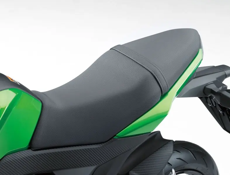 Kawasaki Z125 PRO 10