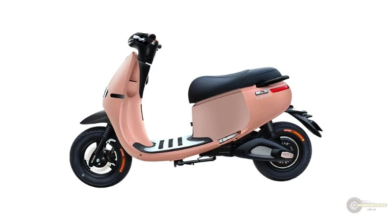 KAZUKI GOGO S KAZUKI GOGO S