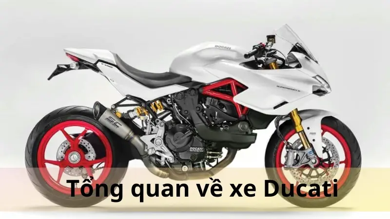 Tổng quan về xe Ducati Tổng quan về xe Ducati