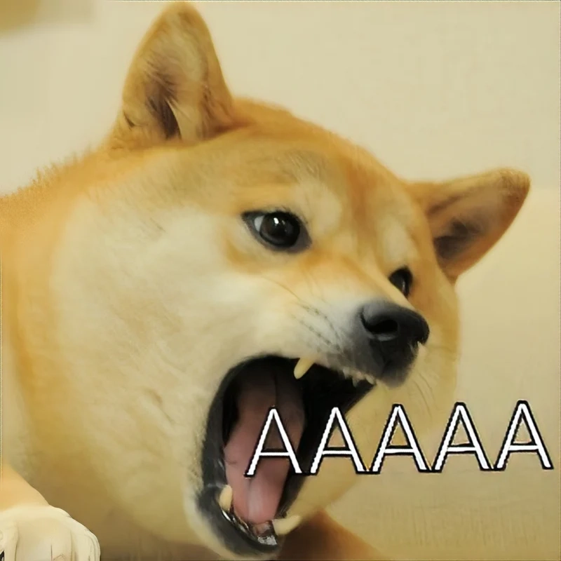 Tìm thấy niềm vui với meme dog cute, những khoảnh khắc ngộ nghĩnh khiến bạn phải cười!