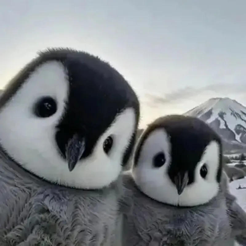 Tải ngay hình nền chim cánh cụt dễ thương cho thiết bị