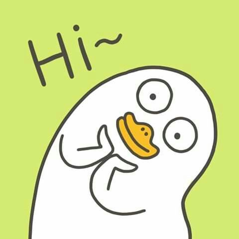 Mèo meme chào dễ thương và thú vị.