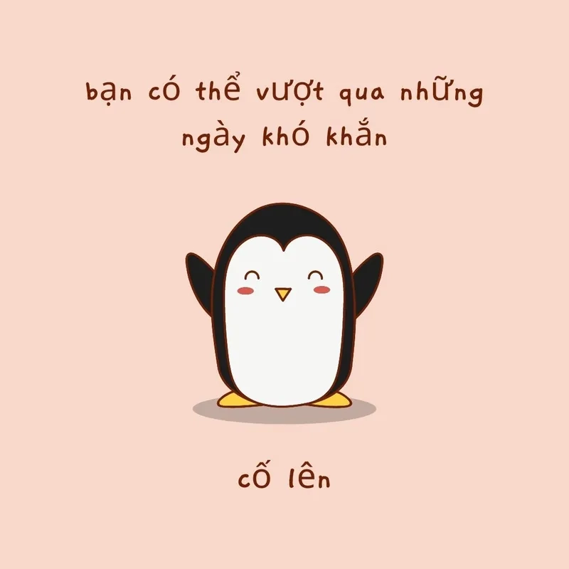 Chuột cống meme siêu lầy lội và hài hước. Chuột cống meme siêu lầy lội và hài hước.