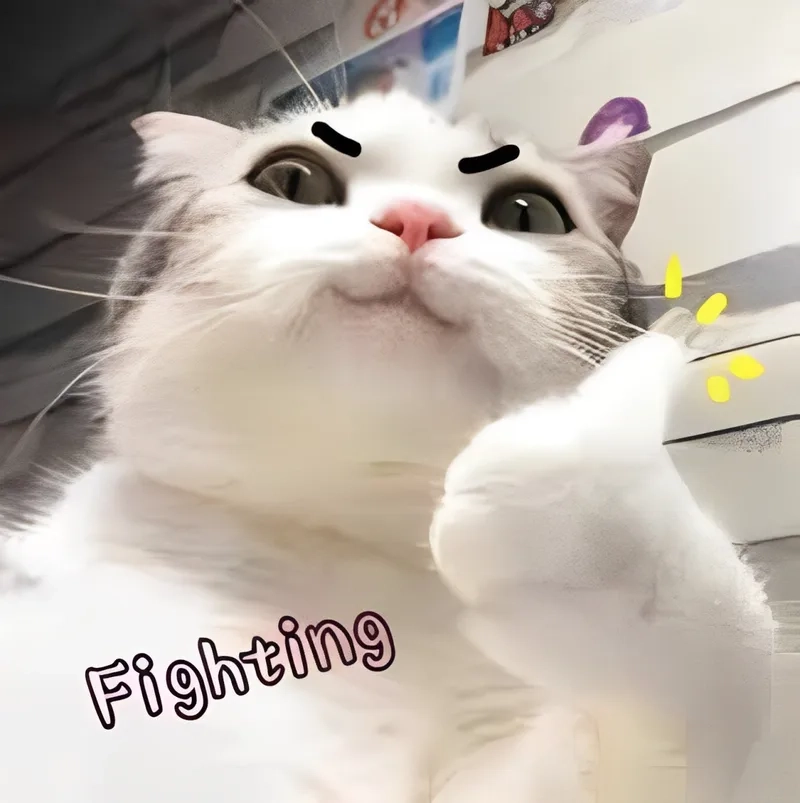 Tò mò với các cốt trong meme sea độc đáo. Tò mò với các cốt trong meme sea độc đáo.