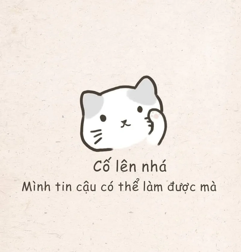 Meme gấu trúc cố lên dễ thương và truyền cảm hứng. Meme gấu trúc cố lên dễ thương và truyền cảm hứng.