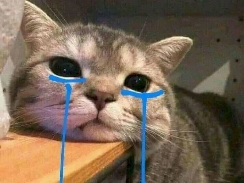 Aya asagiri crying meme đầy cảm xúc, cuốn hút.