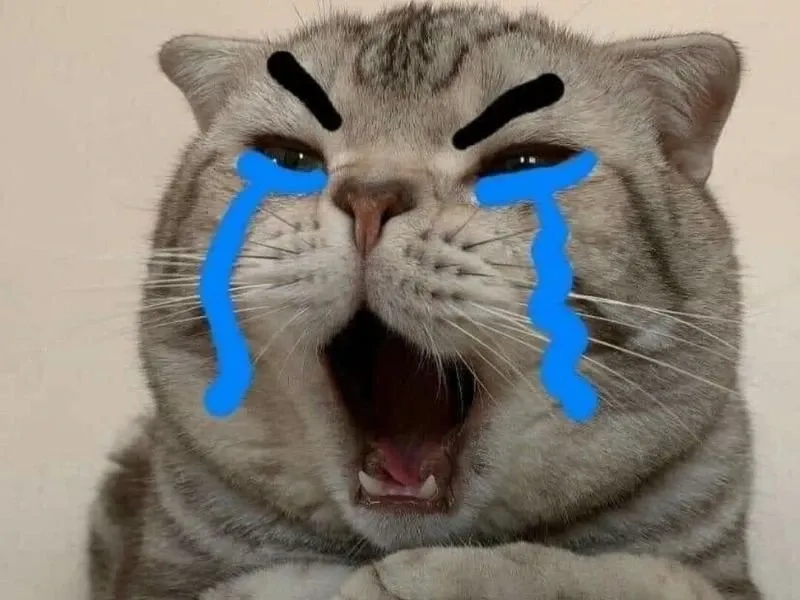 Smile cry meme độc đáo, hài hước đầy sáng tạo.