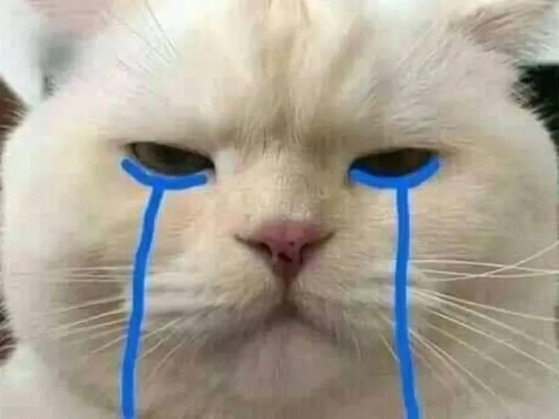 Ronaldo crying meme biểu cảm hài hước, ngộ nghĩnh.