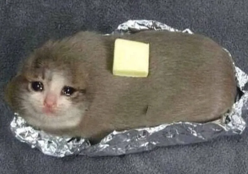 Crying banana cat meme độc đáo, gây chú ý.