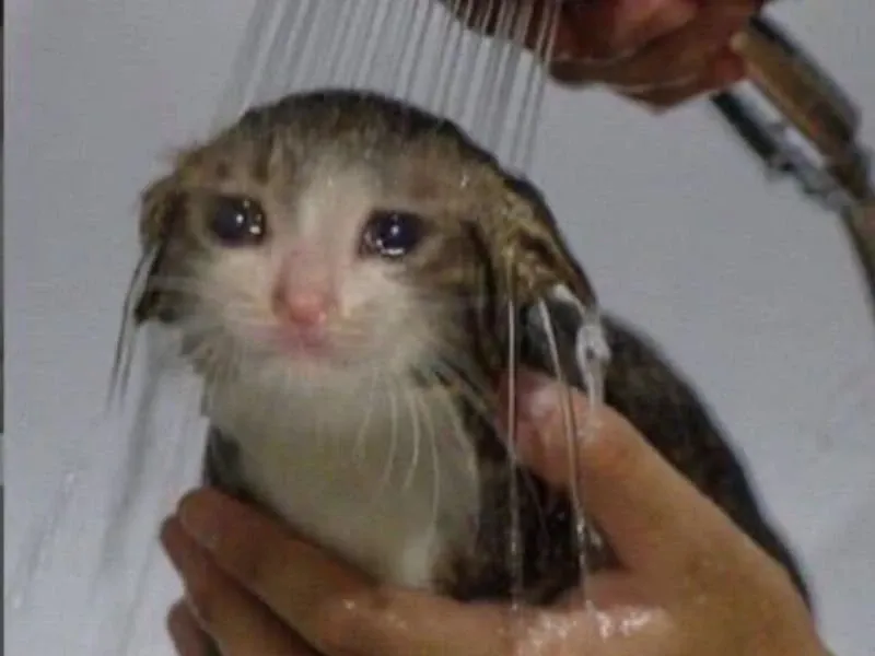 Crying man meme đầy cảm xúc, cực kỳ ấn tượng.