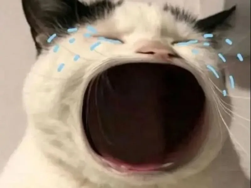 Jerry cry meme biểu cảm siêu hài hước.
