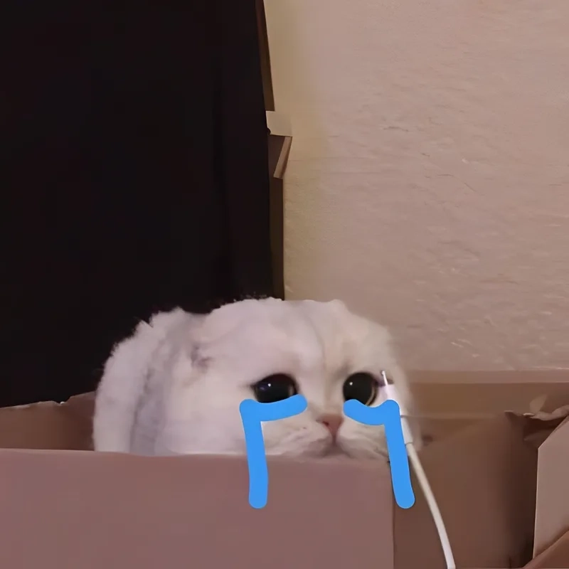 Meme cry cat thể hiện rõ nét sự buồn bã trong đôi mắt mèo.