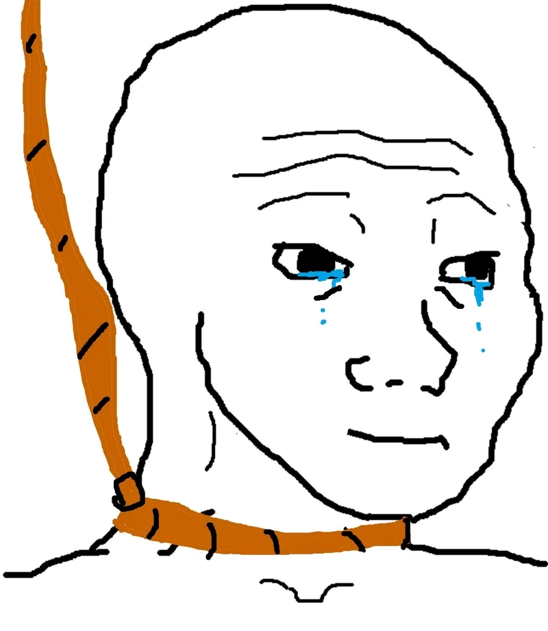 Mèo cry meme khiến ai cũng phải cười vì sự buồn bã đáng yêu của chú mèo.