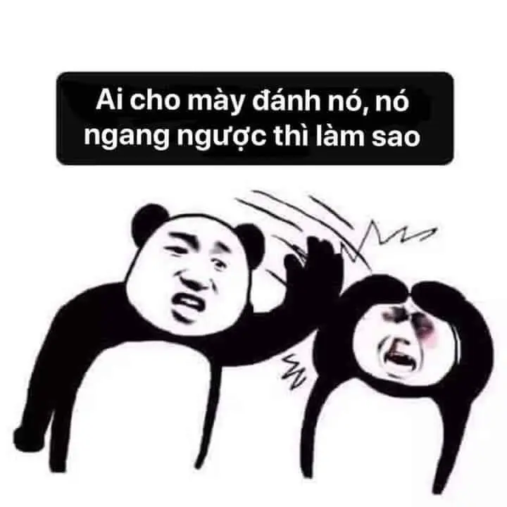 Meme mèo đánh giá với biểu cảm cực kỳ đáng yêu.
