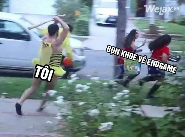 Meme đánh mèo hài hước khiến ai cũng cười ngất.