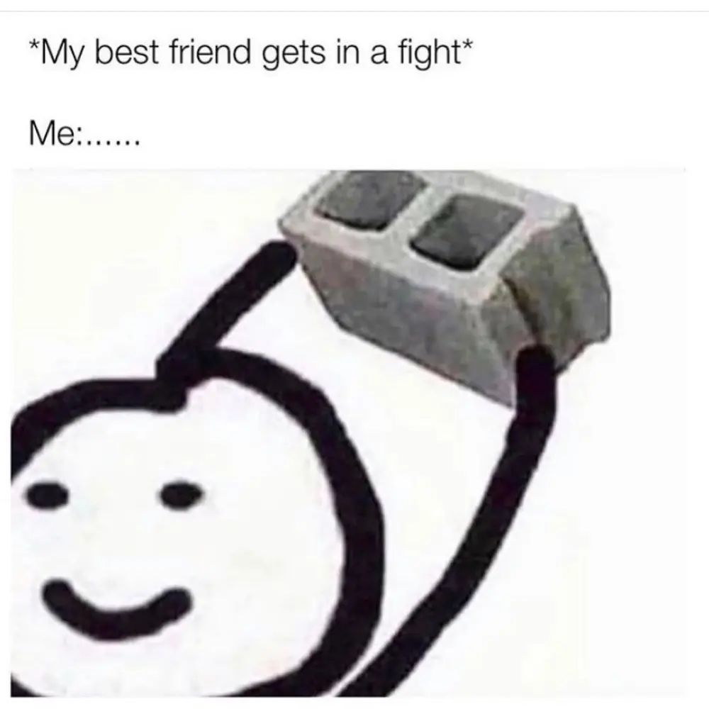 Meme chó mèo đánh nhau khiến bạn không thể nhịn cười.