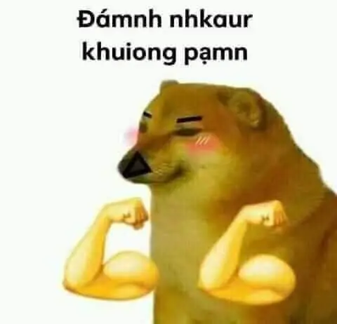 Meme đánh đòn khiến bạn không thể nhịn được cười.