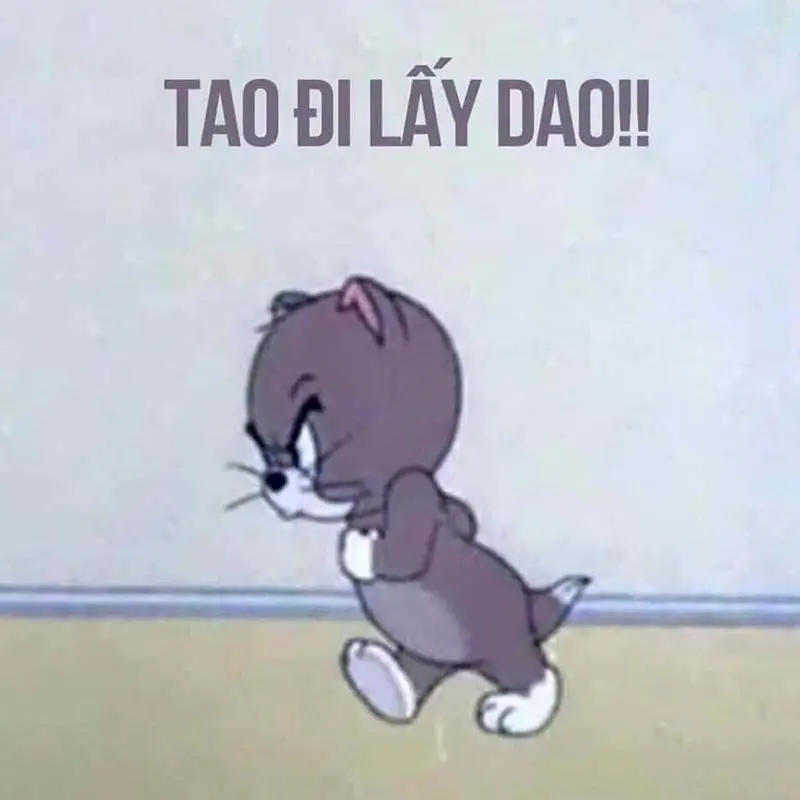 Hài hước meme đánh nhau khiến ai cũng bật cười.