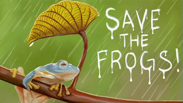 Chú ếch con remix sôi độngChú ếch con remix sôi động 