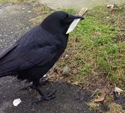 Meme tay cầm súng tạo nên một sự bất ngờ đầy hài hước và thú vị.