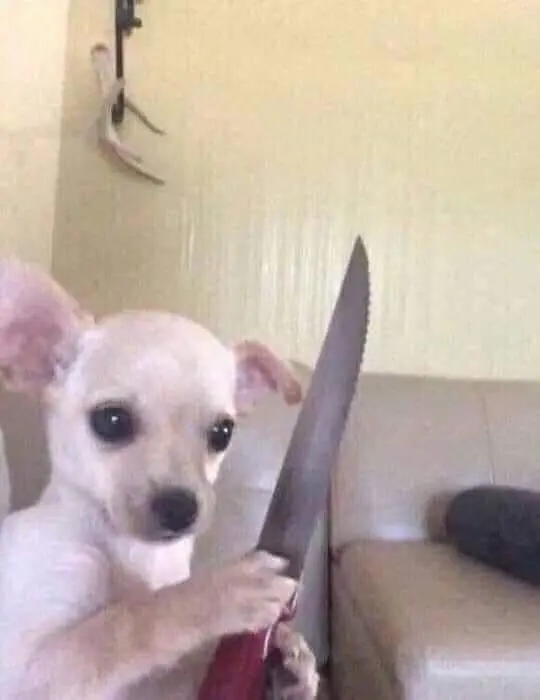 Ảnh tay cầm súng meme mang đến một cảm giác vui nhộn và thú vị.