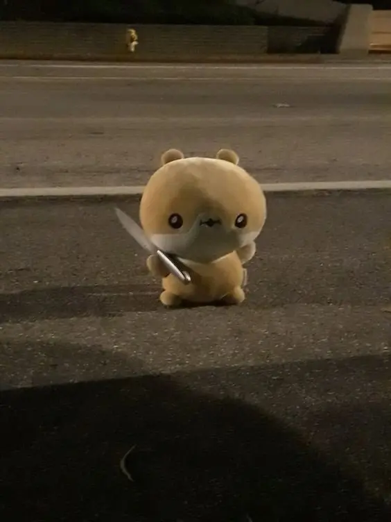 Mèo cầm phóng lợn meme thật đáng yêu và dễ cưng, khiến bạn không thể ngừng cười.