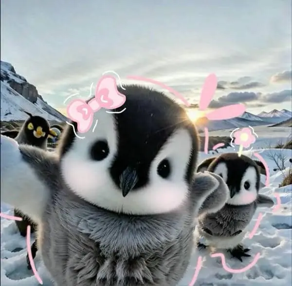 Chim cánh cụt nghĩa là gì? Động vật đáng yêu, siêu hài.