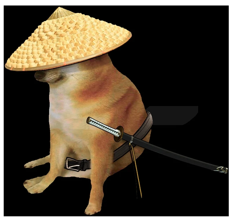 Ảnh meme dog dễ thương và gây cười với những biểu cảm đặc biệt.