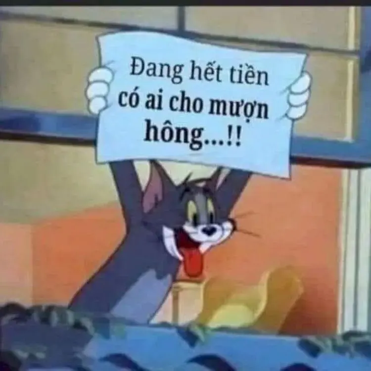 Mèo meme xin tiền hài hước và dễ thương trong mọi góc nhìn. Mèo meme xin tiền hài hước và dễ thương trong mọi góc nhìn.