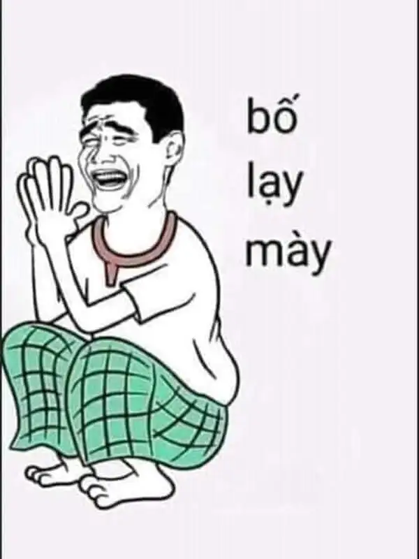 Quỳ meme này cực kỳ vui nhộn, chắc chắn bạn sẽ phải cười.