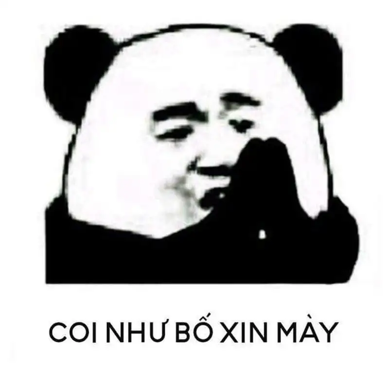 Quỳ xuống meme sẽ khiến bạn không thể nhịn cười vì sự dễ thương của meme.