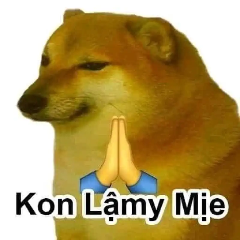 Meme lạy chúa này sẽ mang đến cảm giác vui nhộn và ngộ nghĩnh.