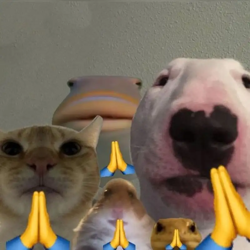 Meme vái lạy này cực kỳ hài hước, chắc chắn bạn sẽ yêu thích.