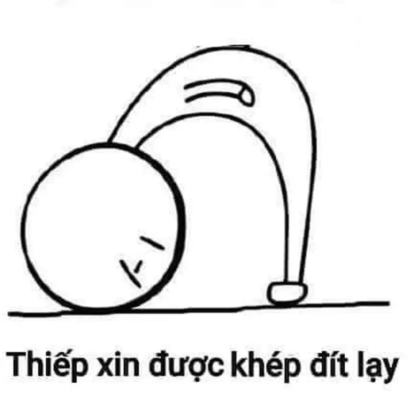 Ảnh quỳ lạy meme này mang lại sự dễ thương và vui nhộn không thể thiếu.