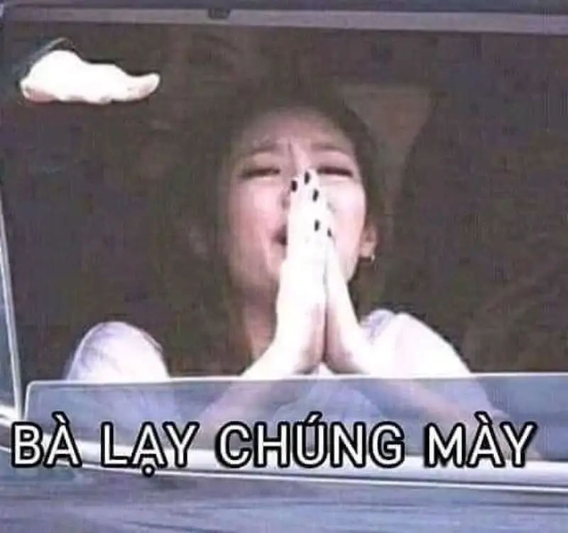 Meme lạy hồn này cực kỳ vui nhộn, chắc chắn bạn sẽ yêu thích.