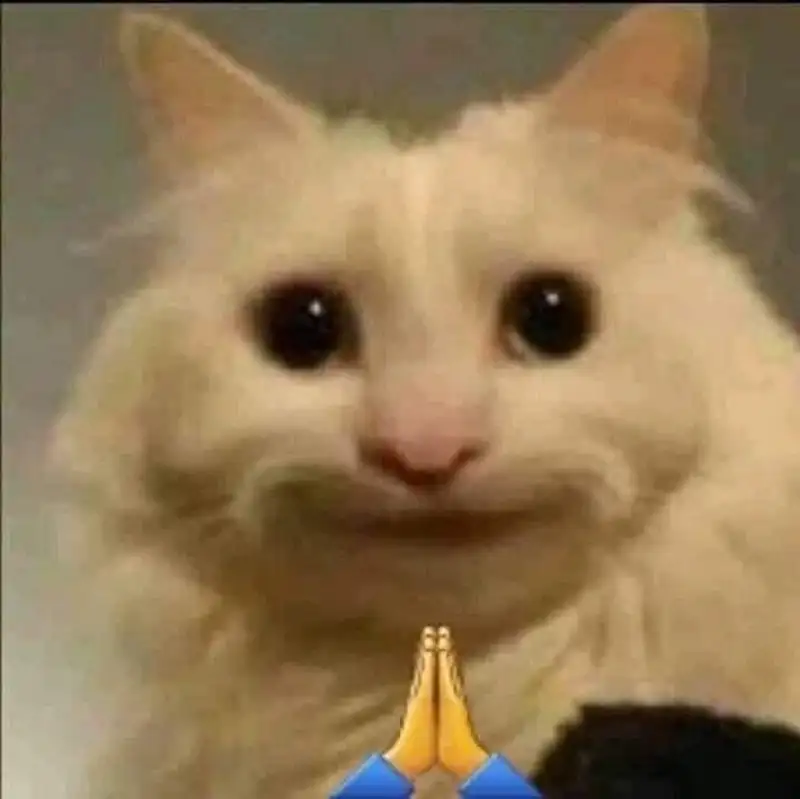 Con lạy mẹ meme này chắc chắn sẽ khiến bạn phải mỉm cười vì sự ngây ngô.